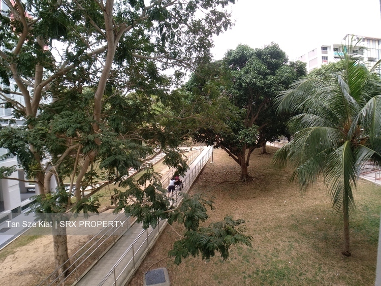 Pasir Ris Drive 4 thumbnail photo